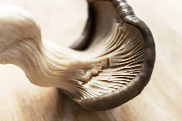 Fresh oyster mushroom close-up on a light wooden background, healthy eating, vegan food, textured