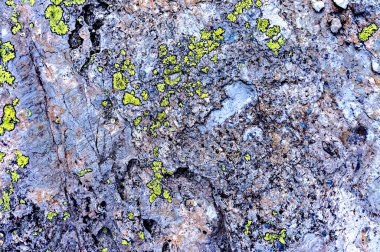 Taşın yüzeyi sarı yeşil lichens ve yosun ile kaplıdır. Kopya alanı ile doğal soyut dokusal arkaplan