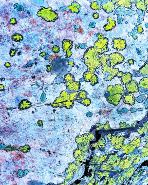 Taşın yüzeyi sarı yeşil lichens ve yosun ile kaplıdır. Fotokopi alanı, doğa güzelliği, kayalar ile doğal dokusal arkaplan