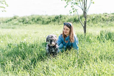 Güzel, genç, sarışın bir kadın yazın karahindibaların arasında yeşil çimlerin üzerinde tüylü gri yaşlı bir köpekle dinleniyor. Sevgi ve bakım, yürüyen köpek, pozitif duygular.