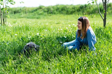 Güzel, genç, sarışın bir kadın yazın karahindibaların arasında yeşil çimlerin üzerinde tüylü gri yaşlı bir köpekle dinleniyor. Sevgi ve bakım, yürüyen köpek, pozitif duygular.