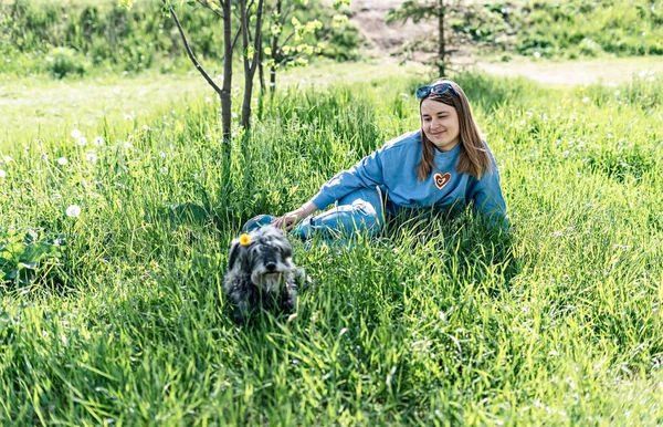 Güzel, genç, sarışın bir kadın yazın karahindibaların arasında yeşil çimlerin üzerinde tüylü gri yaşlı bir köpekle dinleniyor. Sevgi ve bakım, yürüyen köpek, pozitif duygular.