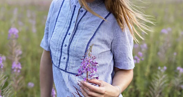 Young blond woman in purple shirt walking in meadow among flowers of fireweed and touching flower, beauty in nature landscape, female hand selective focus