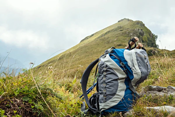 Mochila Caminhada Azul Cinza Grande Postes Trekking Entre Plantas Verdes — Fotografia de Stock