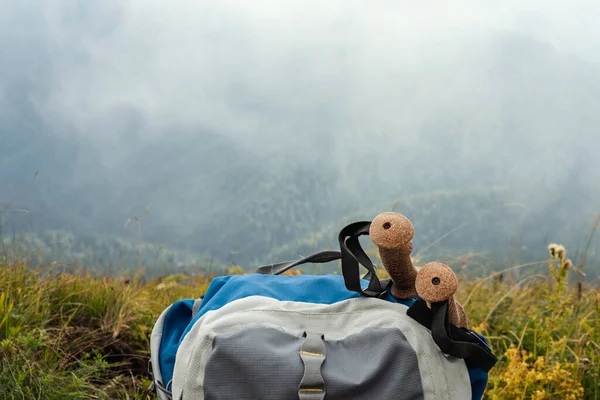 Großer Grau Blauer Wanderrucksack Trekkingstöcke Inmitten Grüner Pflanzen Auf Dem — Stockfoto