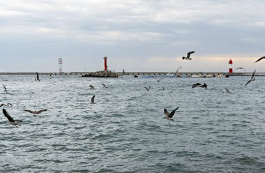 Denizin üzerinde turlayan martıları olan deniz manzarası, kırmızı deniz feneri ve bulutlu yağmur gökyüzü, kopyalama alanı doğal arka plan, kuş sürüsü seçici odak noktası