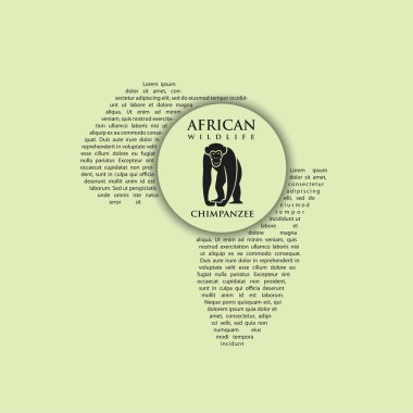 Şempanze Afrika kıta arka plan üzerinde