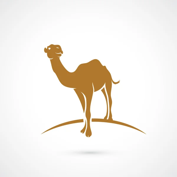 African camel symbol — Stock Vector