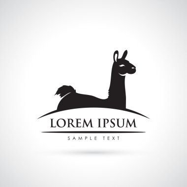 Lama hayvan illüstrasyon