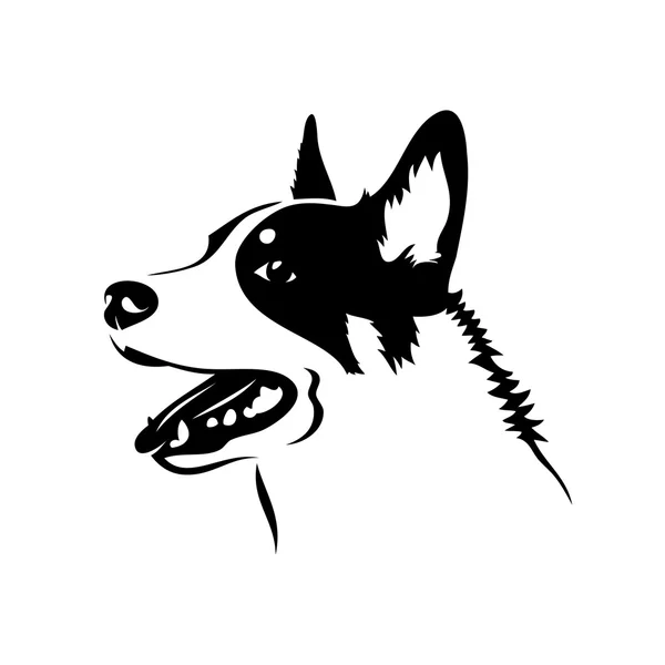 Perro de ganado australiano — Vector de stock