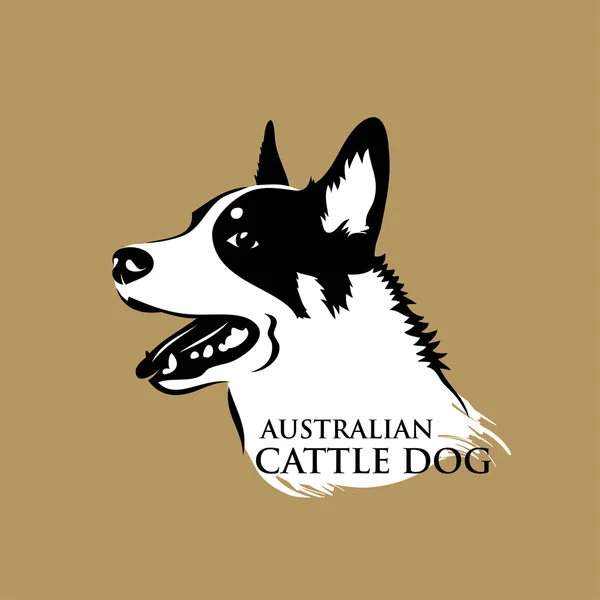 Австралийская собака — стоковый вектор