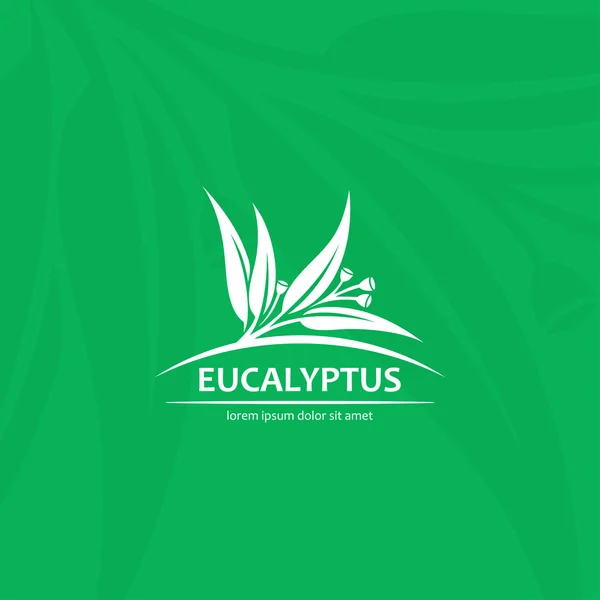 Eucalyptus listy a plody — Stockový vektor