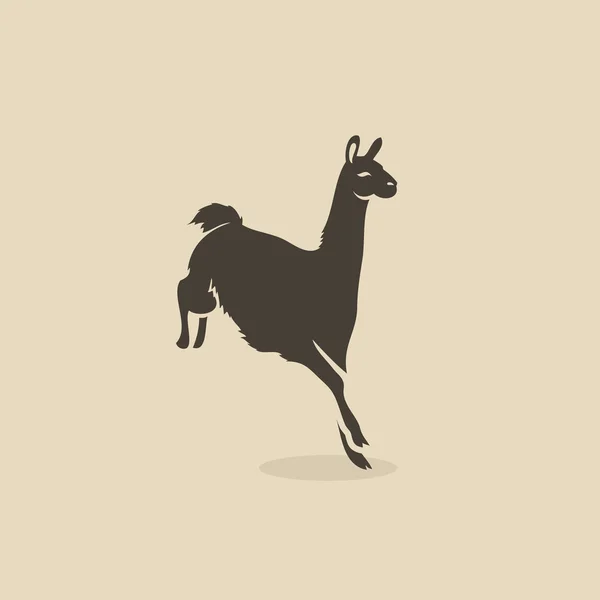 Lama ilustração animal — Vetor de Stock