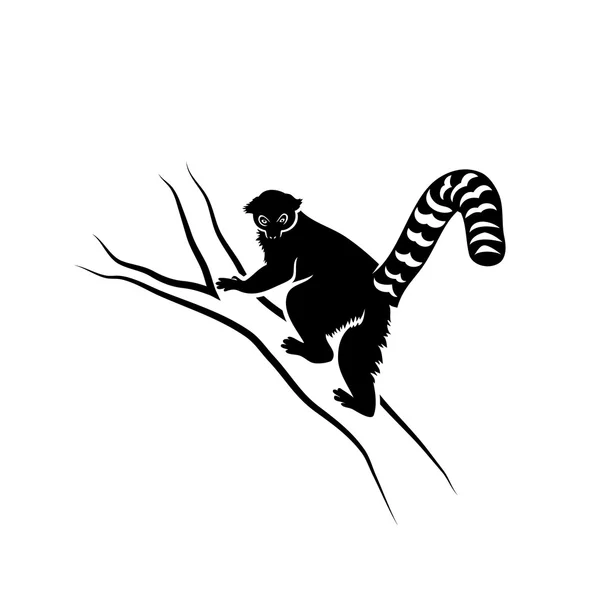 Lemur dierlijke illustratie — Stockvector