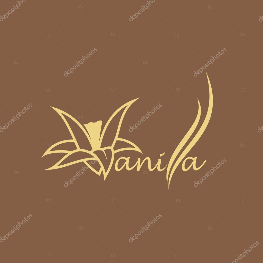 Vanilla flower and pods symbol. vector illustration