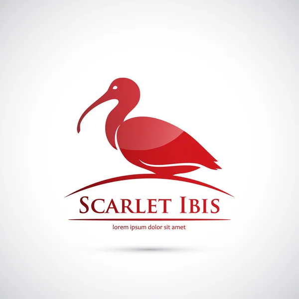 Símbolo ibis escarlate — Vetor de Stock