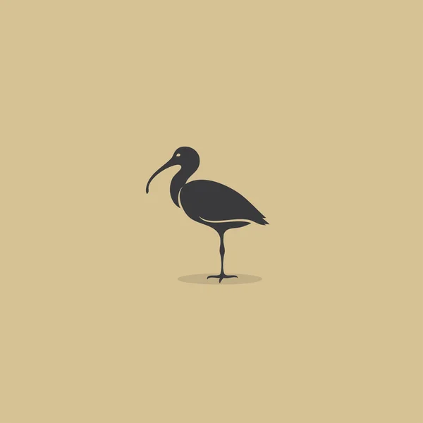 Ibis ilustración de aves — Archivo Imágenes Vectoriales