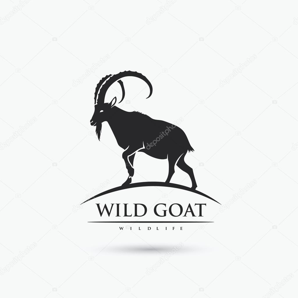 Wild goat - vector illustration