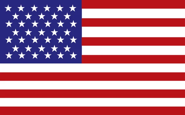Bandera de United States of America — Archivo Imágenes Vectoriales