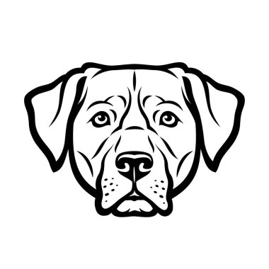 Labrador köpeğinin vektör illüstrasyonu 