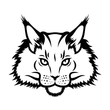 Maine Rakun Cins Kedisinin vektör çizimi