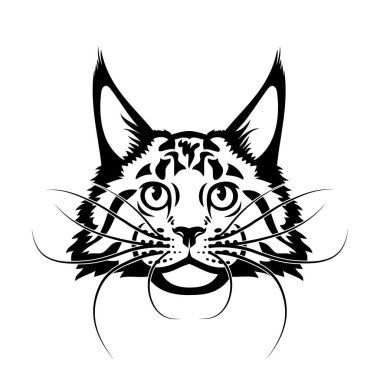 Maine Rakun Cins Kedisinin vektör çizimi