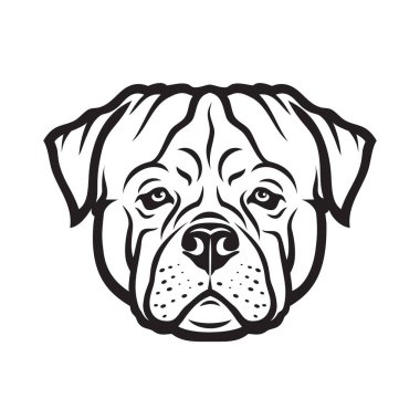 Rottweiler cinsi köpek kafasının vektör çizimi