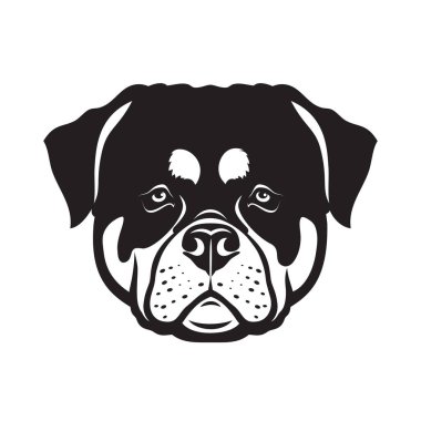 Rottweiler cinsi köpek kafasının vektör çizimi