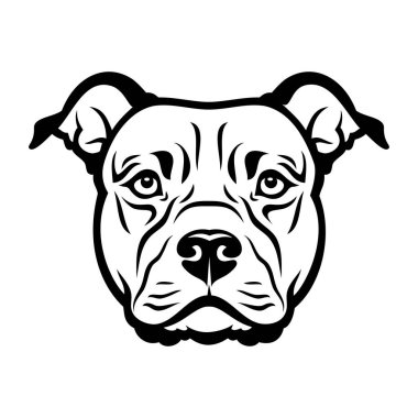 Staffordshire teriyer köpek kafasının vektör çizimi