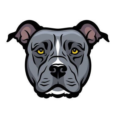 Staffordshire teriyer köpek kafasının vektör çizimi