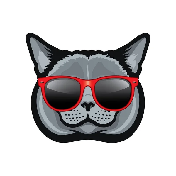 Ilustración Vectorial Gato Taquigrafía Británico Gafas — Vector de stock