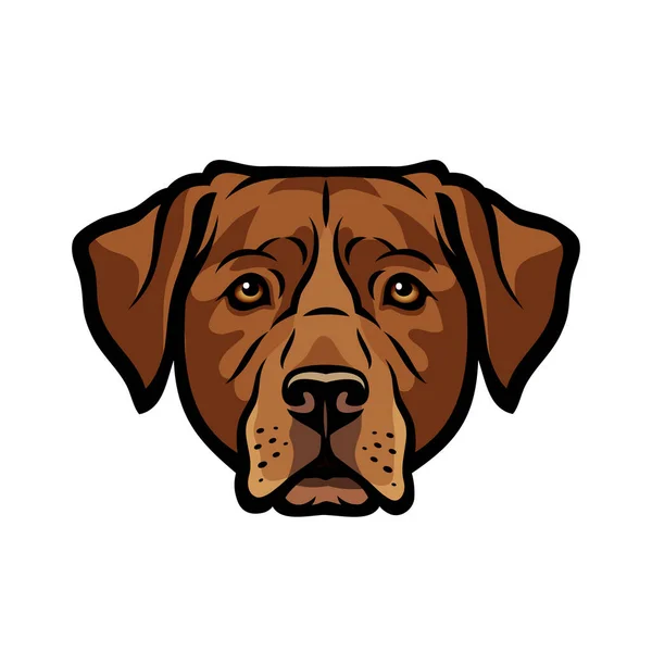 Vector Ilustración Perro Labrador — Vector de stock