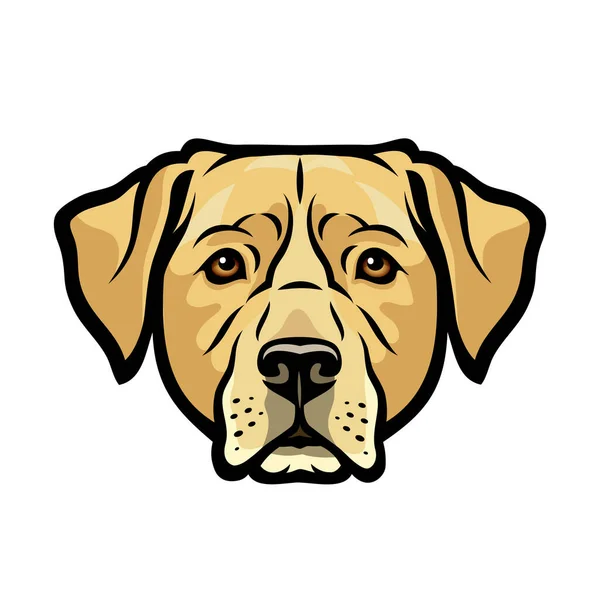 Vector Illustration Labrador Dog — Stock Vector