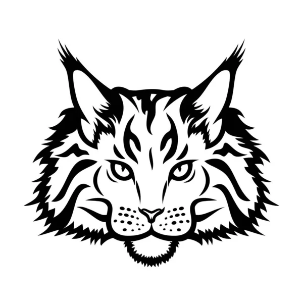 Vektor Illustration Der Maine Coon Rasse Katze — Stockvektor