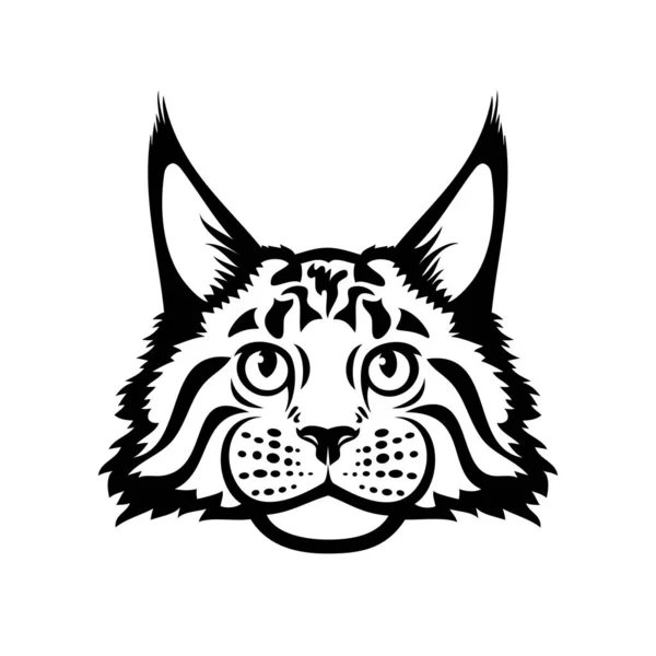 Vector Ilustración Maine Coon Crianza Gato — Archivo Imágenes Vectoriales