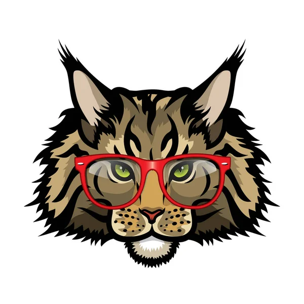 Vector Illustration Maine Coon Breed Cat Glasses — Stock Vector