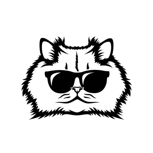 Vector Illustration Persian Breed Cat Glasses — Stock Vector