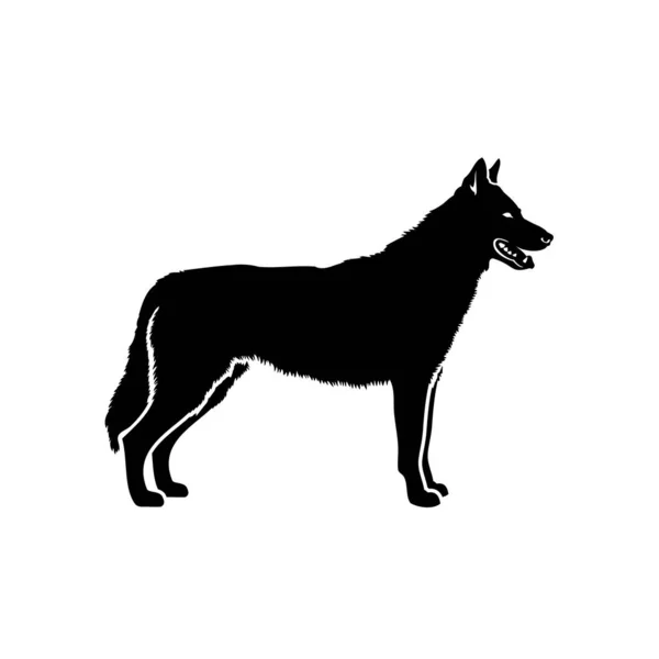 Ilustración Vectorial Wolfdog — Vector de stock