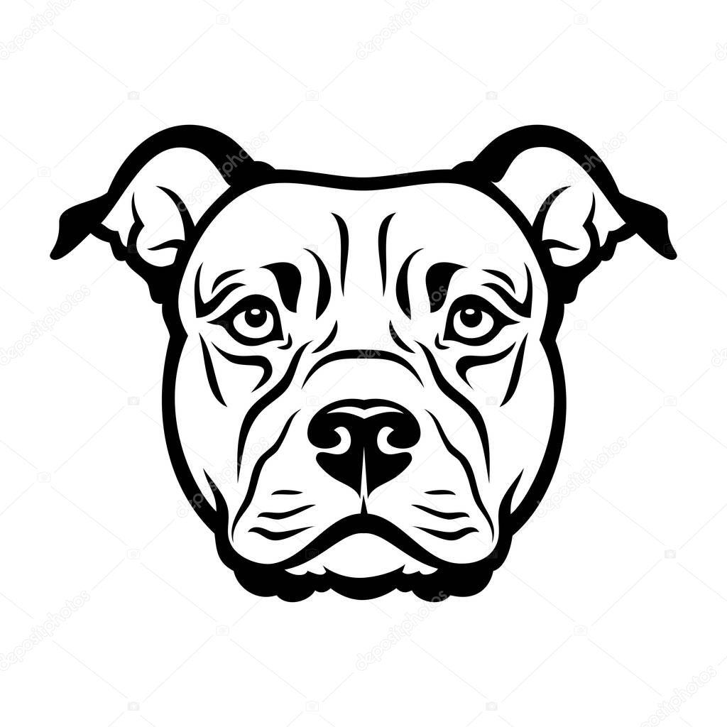 Vector illustration of Staffordshire terrier dog head