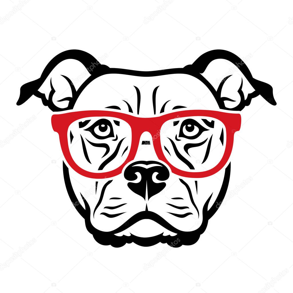 Vector illustration of Staffordshire terrier dog head in glasses