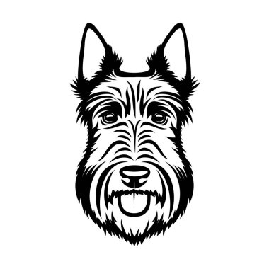 Scottie 'nin beyaz arka planda izole edilmiş köpek hayvanı, İskoç Teriyeri' nin vektör çizimi 