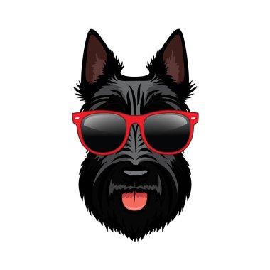 İskoç Terrier köpeğinin vektör çizimi, Scottie gözlük takıyor 