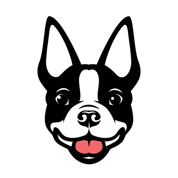 Vector Illustration Dog Animal Boston Terrier — Stock Vector