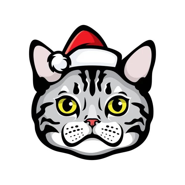 Ilustração Vetorial Gato Chapéu Santa — Vetor de Stock