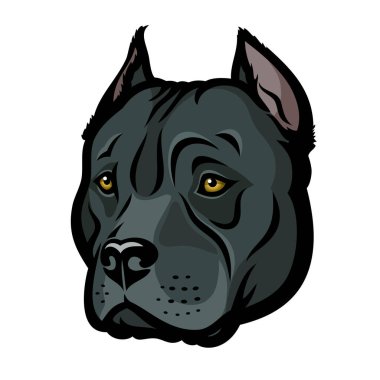 Pitbull ikonu vektör illüstrasyonu