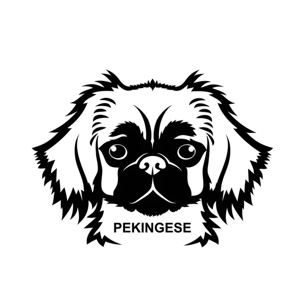 Pekingnese Icono Vector Ilustración — Vector de stock