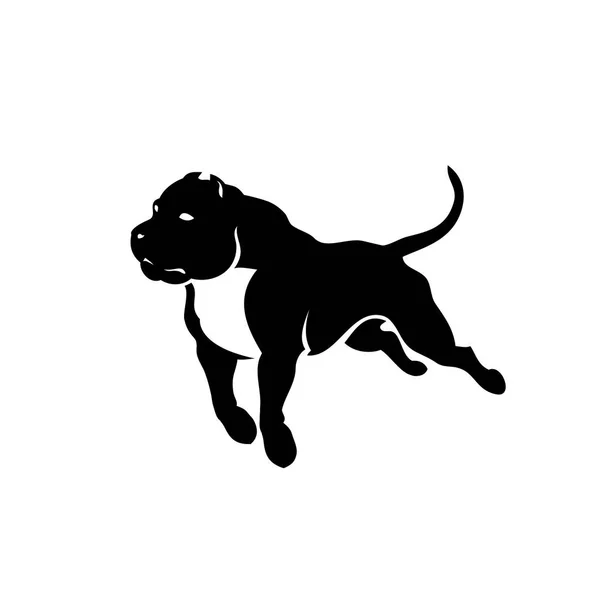 Pit Bull Icon Vector Illustration — Stock Vector