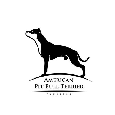 Pitbull köpeği, vektör çizimi beyaz arkaplanda izole edildi