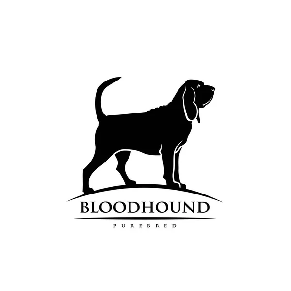 Bloodhound Dog Vector Illustration Isolated White Background — Stock Vector