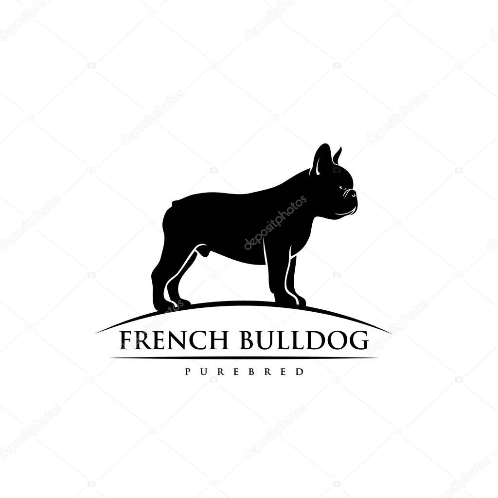 French bulldog, isolated vector illustration on white background